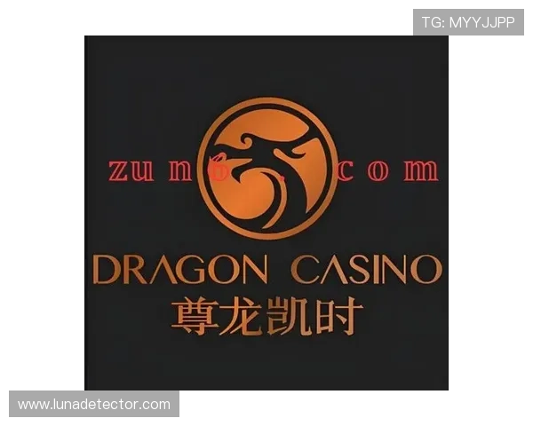 尊龙官网登录入口官方平台,确保账号安全与游戏公平,尽享精彩赛事 尊龙官网登录入口官方平台,确保账号安全与游戏公平,尽享精彩赛事