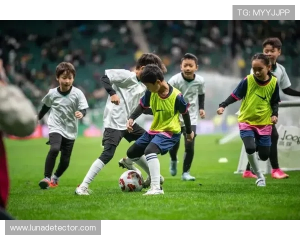 尊龙app官方下载安装方法,确保安全稳定的软件下载体验 尊龙app官方下载安装方法,确保安全稳定的软件下载体验