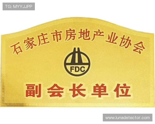 凯时尊龙官网网址官方入口地址，确保用户快速便捷登录与账号安全