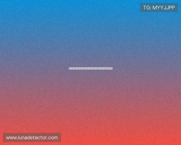 凯时登录入口安全验证流程详解，确保每次登录都能保障账号安全